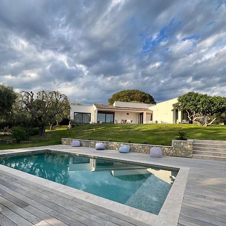 Magnifique Villa Moderne Avec Piscine La Gaude Eksteriør billede