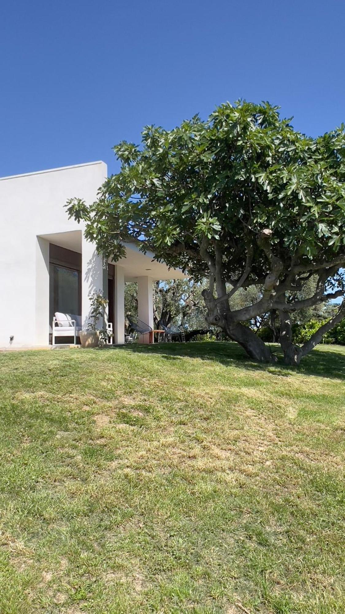 Magnifique Villa Moderne Avec Piscine La Gaude Eksteriør billede